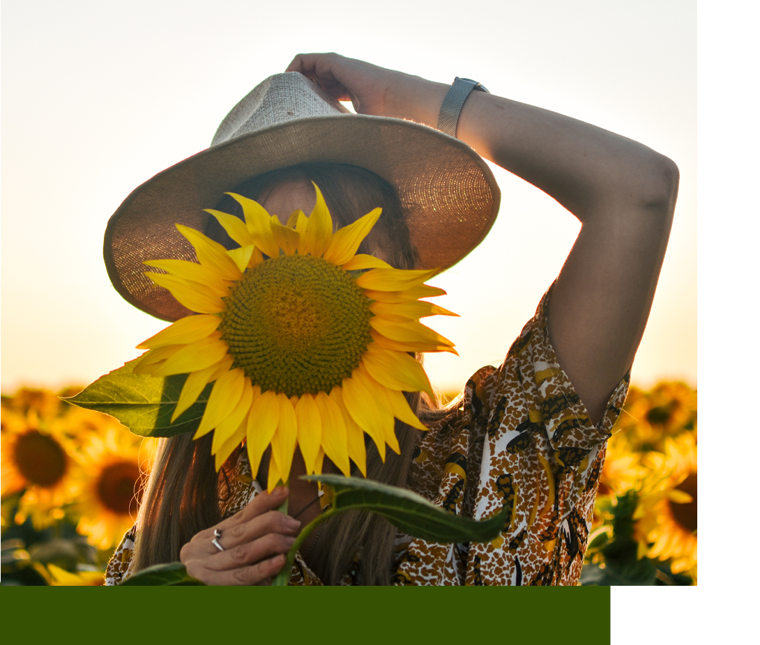 Sunflower Lecithin for Supplements & Vitamins Shop Ingredaco Now